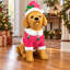 Christmas Decorative Accent