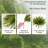 3 Pack Artificial Boston Fern Bush, UV-Resistant Fake Green Fern Greenery for Home & Outdoor Decor