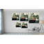 Jade Hoya II - reproduction d'art sur toile-35569522-35569519
