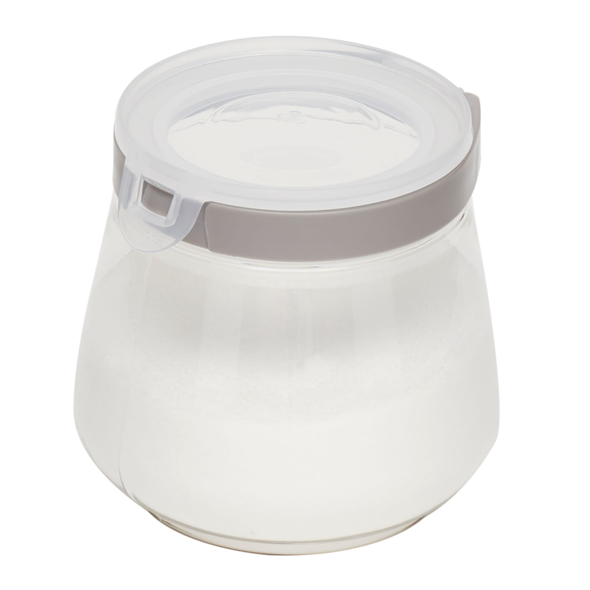 Wrought Studio™ 37 Oz Plastic Flip Top Container, Clear Wayfair