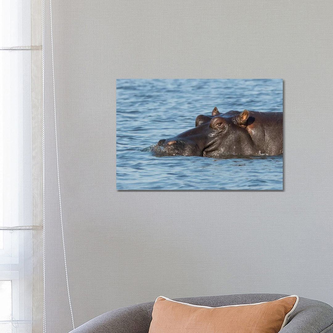 Africa, Botswana, Chobe National Park by Jaynes Gallery - Wrapped Canvas Print