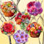 Ornement en forme de pince de la collection Designocracy