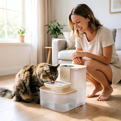 Fontaine à eau 4,5L pour animaux de compagnie, distributeur automatique d'eau sans fil pour chat avec 3 tonneaux et 3 brosses de nettoyage et télécommande
