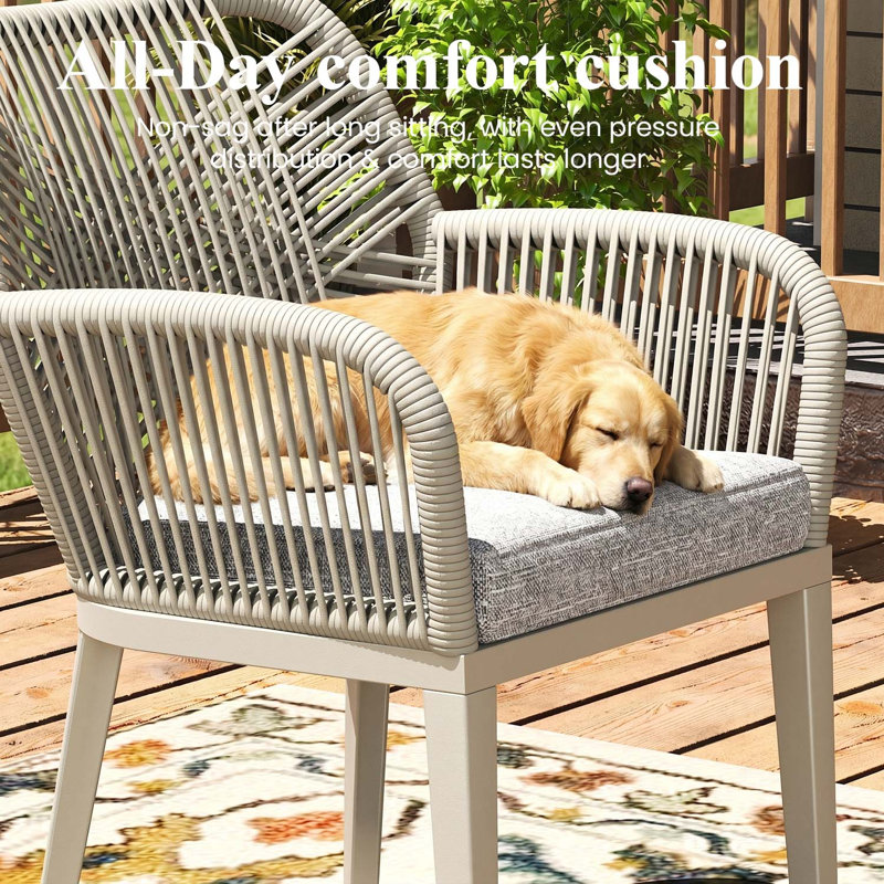 Outdoor Dining Chair Of 2, Woven Wicker Dining Armchairs With Cushions (set Of 2), Light Gray