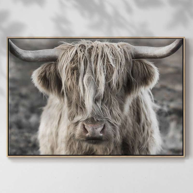 Highland Skye, reproduction d'art sur toile, H 27 po x l 41 po x P 2 po, Bois naturel