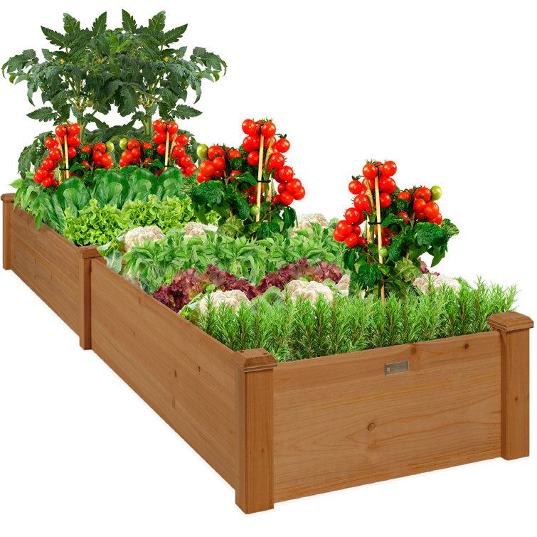 Ritums Wood Outdoor Raised Garden Bed