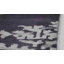 Swader Floral Hand Woven Area Rug-14295449