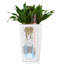 Cubico Planter Box