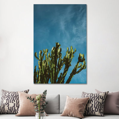 Cactus Sky by Bethany Young - Print on Canvas