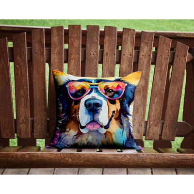 Other/No Pattern Outdoor Throw Pillow