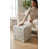 Beverly Ivory Perennials