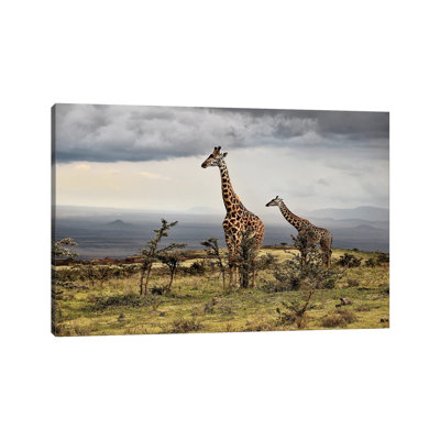 Giraffe 1 Piece Wrapped Canvas Wall Art