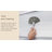 Roman Shade-297600032