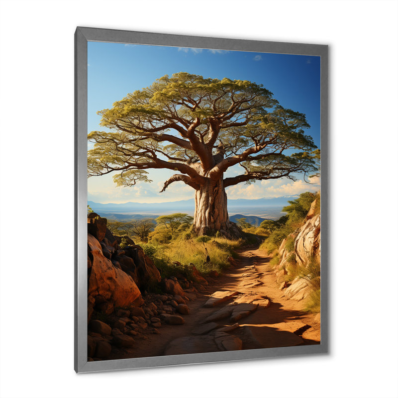Baobab Tree Serenade II - impressions murales florales et botaniques, H 32 po x l 24 po x P 1 po, Cadre photo argenté