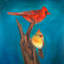 « oiseaux on a branch », reproduction de peinture à l’huile sur toile tendue-27975007