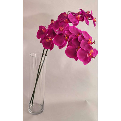 ORCHIDÉE FRESH-TOUCH NAT.TCH PHA. X8F 31 po