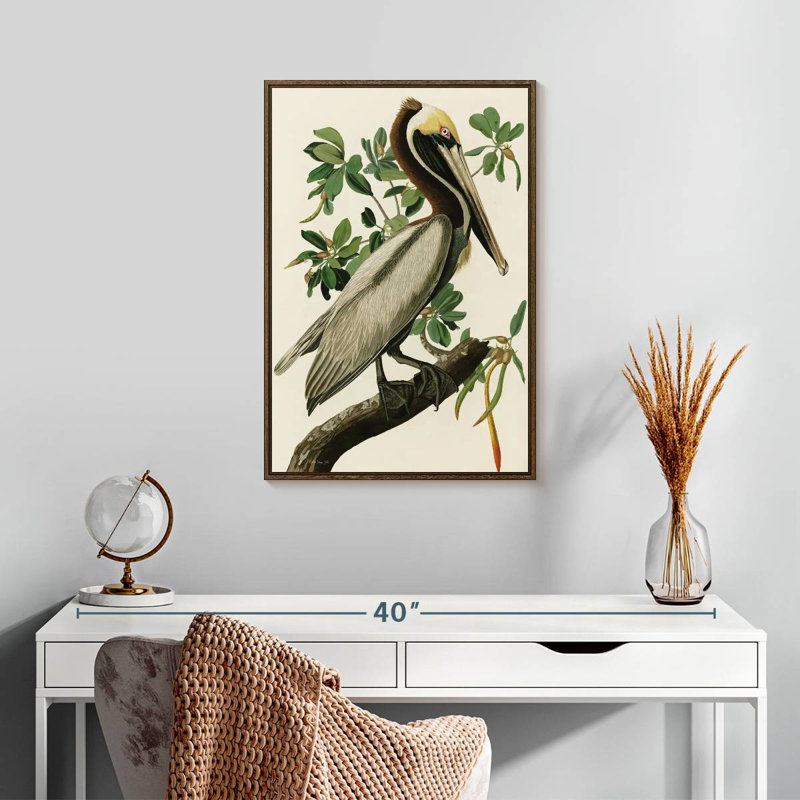 Pélican Audubon, 17 po x 25 po, Cadre flottant noyer