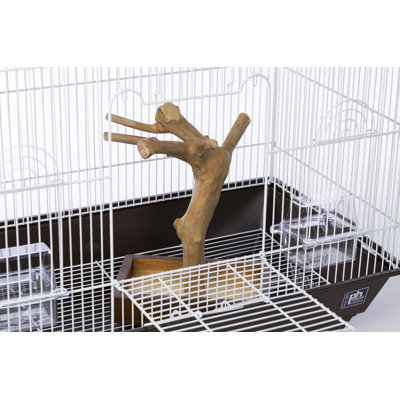 Cinamon 21'' Steel Victorian Top Table Top Bird Cage with Perch