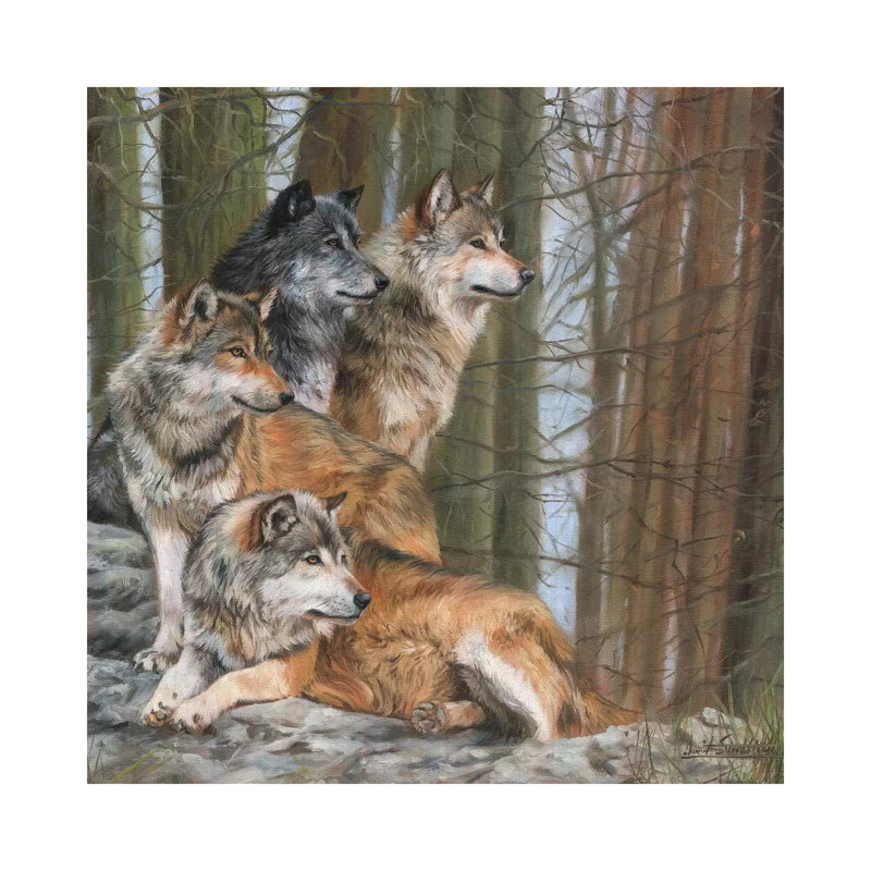 Four Wolves by David Stribbling - Wrapped Canvas Print, 93.98 cm H x 93.98 cm W x 3.175 cm D