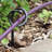 Metal Hose Holder