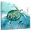 Tortue de mer Crowle Delray I-109395883