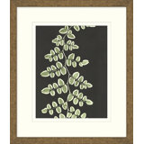 Graphic Lewis Ferns 4 Print