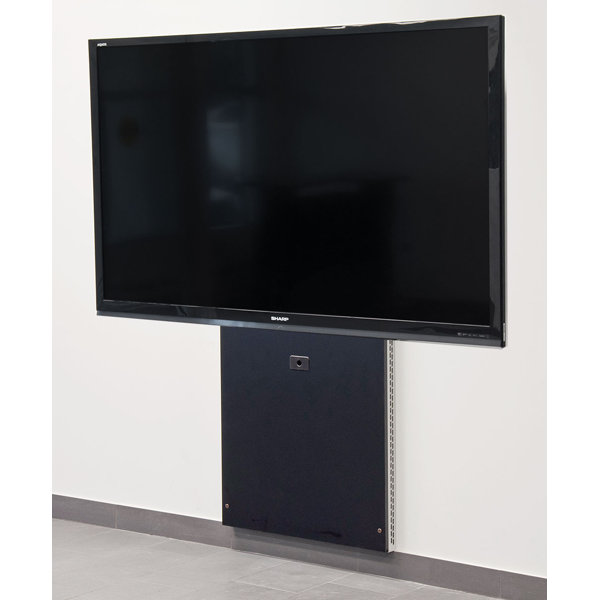 Avfi Rack AVFI Single Screen Wall Mount - Wayfair Canada