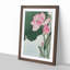 Pink Lotus Flower by Ohara Koson - Framed Print-55584103-55584107