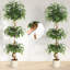 Plant-1645508730