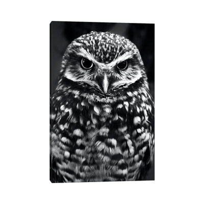 Owl 1 Piece Wrapped Canvas Wall Art