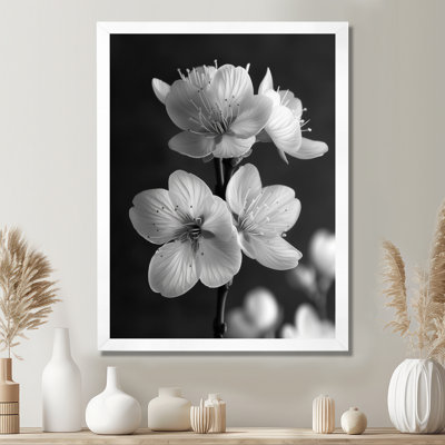 Silhouette de fleur de cerisier noir monochrome - Fleur de cerisier