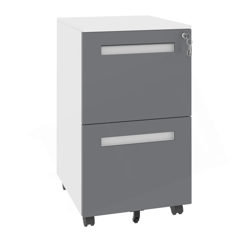 2-Drawer Mobile File Cabinet with Lock, All-Steel Metal Storage on 360° Wheels, Fully Assembled, High Capacity, for Home and Office Use