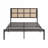 Dark Bronze Finish Metal Queen Platform Bed, Faux Cane Panel Headboard, No Box Spring Required Coastal Bedroom Furniture