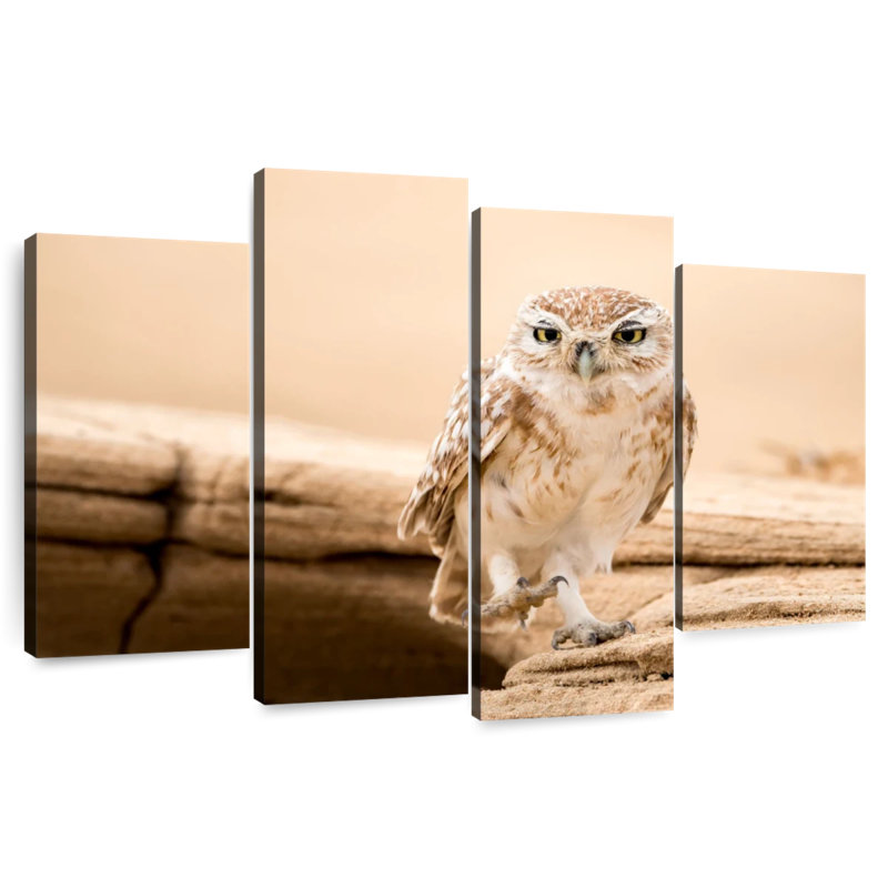 Hibou du désert Brampt, H 22 po x l 36 po