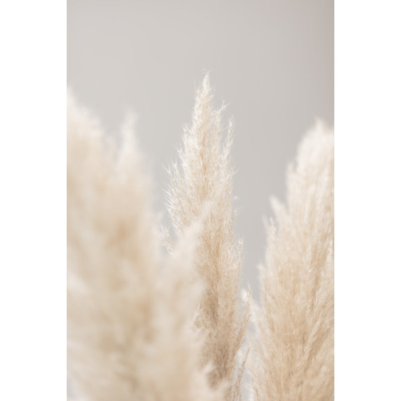 Wrapped Canvas Print, 50.8cm H x 76.2cm W