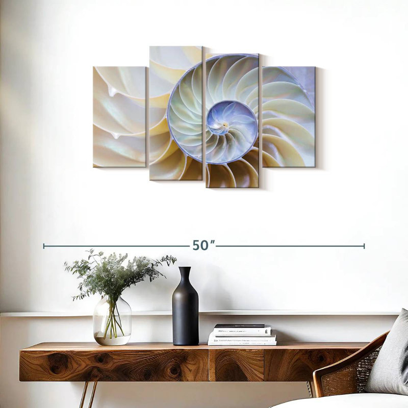 Empty Nautilus Shell, 22" H x 36" W
