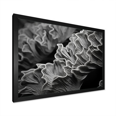 " Black And White Coral Anemone Kingdom I "