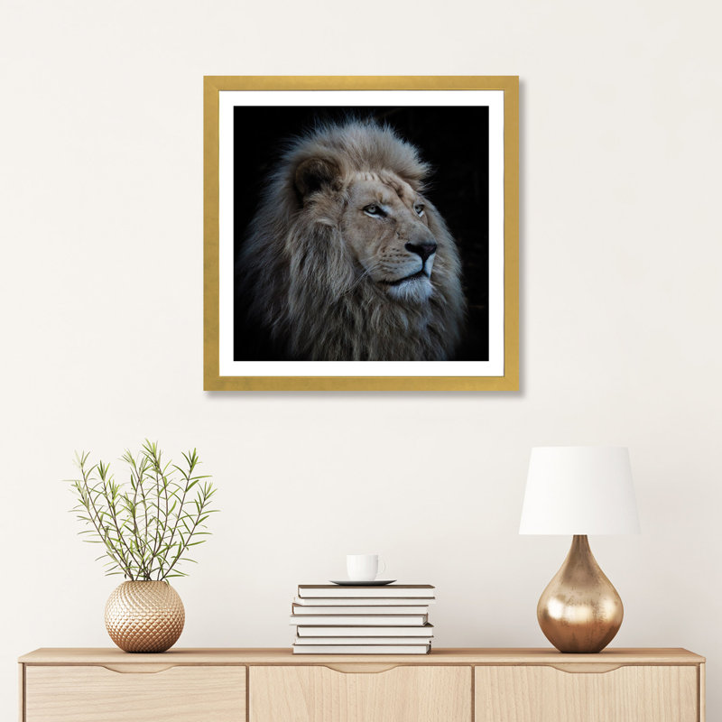 «Proud Lion» par Louise Wolbers - reproduction de photo, Papier encadré doré, H 24 po x l 24 po x p 1 po