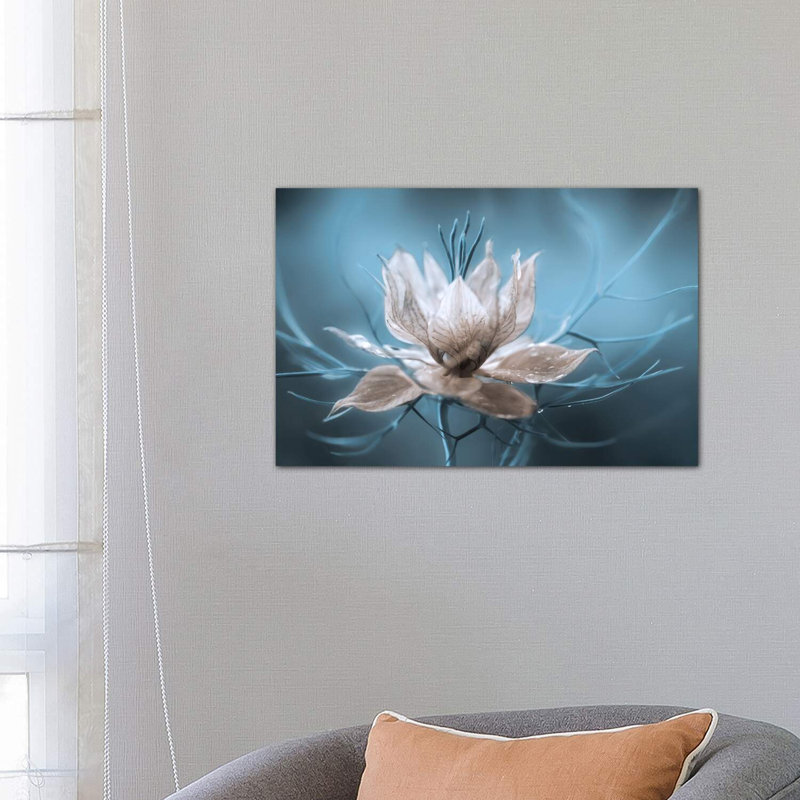 «Nigella I» par Mandy Disher - reproduction de photo, Toile tendue, H 18 po x l 26 po x P 1,5 po