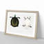 Javan Trionyx Turtle by John Edward Gray - Picture Frame Graphic Art Print-55610049-55610052