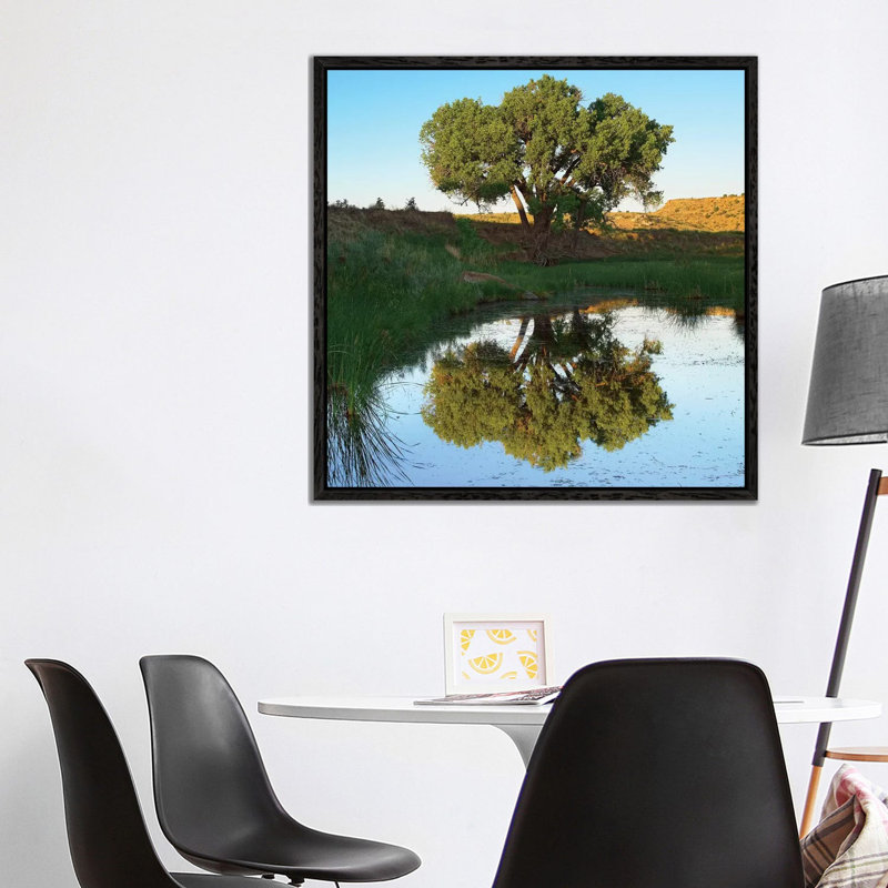 Tree Reflecting In Creek Near Black Mesa State Park, Oklahoma 1 Piece Wall Art on Canvas, 93.98 cm H x 93.98 cm W