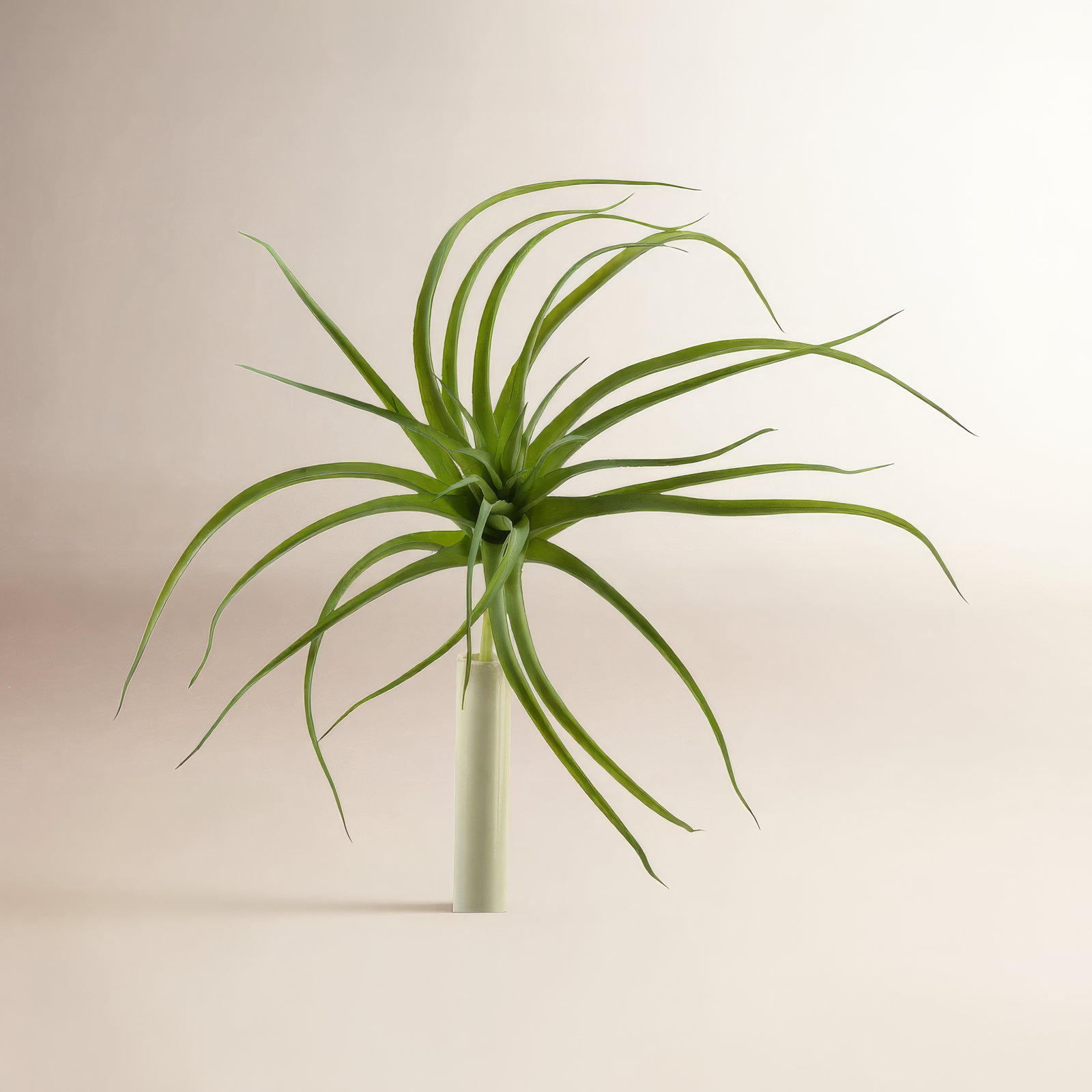 Tillandsia Floral Stems