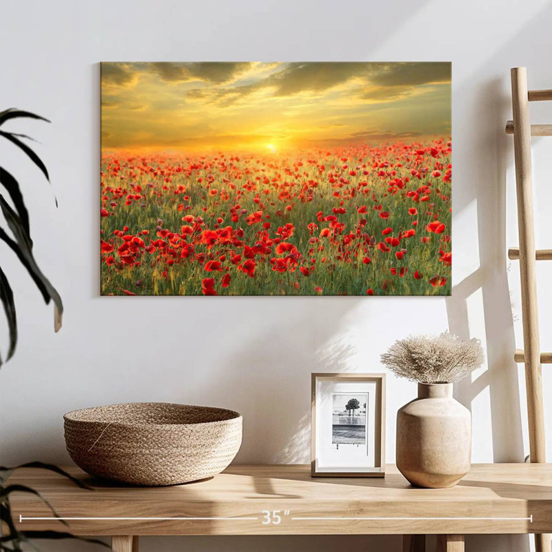 Alvord Poppy Meadow Sunset