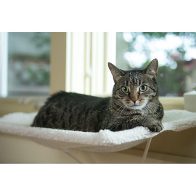 Lit pour chat Azaryah