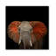 African Elephant Print-38104040-38104043