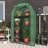 39''W x 17''D × 63''H Small Hobby Greenhouse