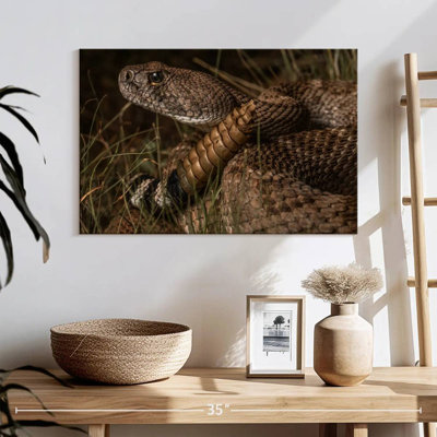 Diamondback Rattlesnake
