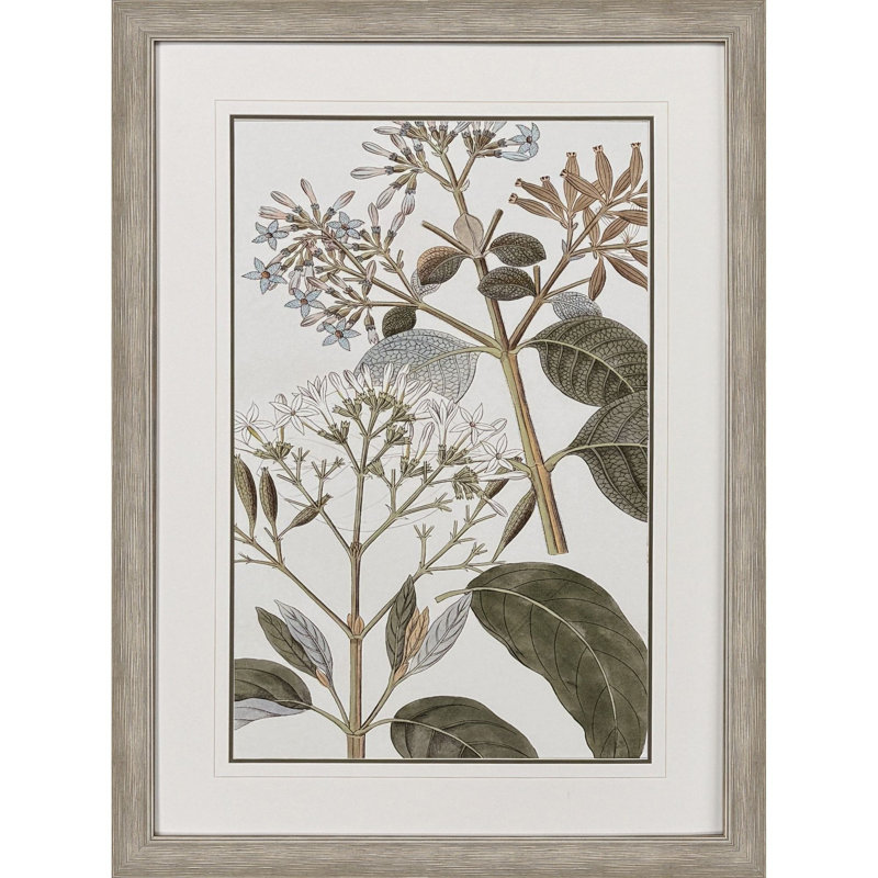Flowering Botanical II