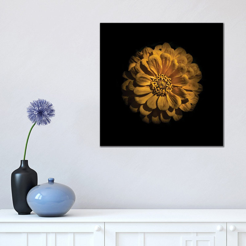 Yellow Zinnia by Brian Carson - Wrapped Canvas Print, 45.72 cm H x 45.72 cm W x 3.175 cm D