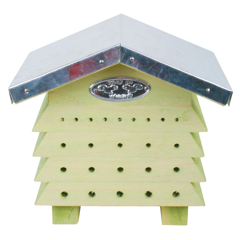 Jed Bee House